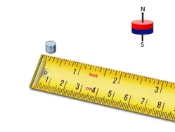 Alnico Disc Magnets S8D1616